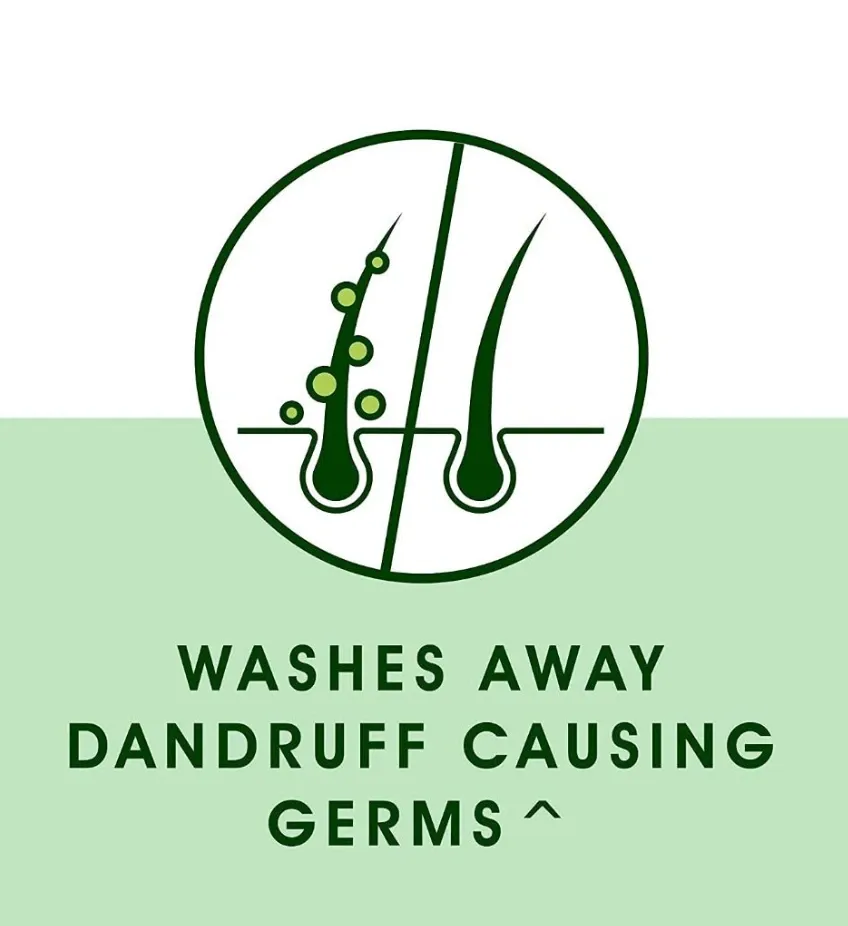 Screenshot 2026-03-29 152408.webp